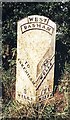 Old Milepost by the B1105, Barsham Oaks