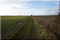 Path heading west from Thorpe Farm