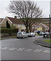 Houses, tree and cars, Ynys yr Afon, Clyne