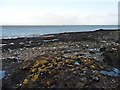 Rocky foreshore at Redcliff Bay