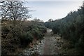 Path on Ormiston Hill in winter