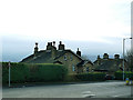 Houses on Valley View Grove