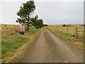 Track leading to Stillswells Croft