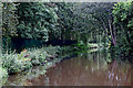 Caldon Canal near Northwood in Stoke-on-Trent