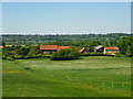 Houses near Sawkins Farm