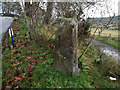 Old milestone in Munlochy