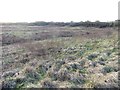 Island of waste ground, surrounded by motorways