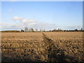 Footpath to Anwick