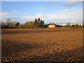 Prepared field on the edge of Collingham