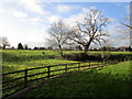 Pond by the churchyard, Thorpe Mandeville