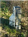 Milestone near Monk Fryston with bench mark