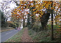 Path along Habberley Road