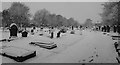 Tong Cemetery in the snow