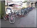 SE5951 : Cycle racks on the Esplanade by Oliver Dixon