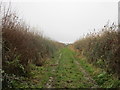 Farm track near Rodley