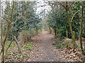 Footpath towards Roundbridge Farm