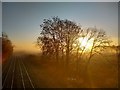 Railway line and Thorpe Marshes Nature Reserve