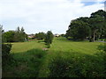 Drain and fields off Chester Road