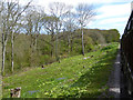 Lineside, Isle of Wight Steam Railway