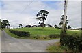 H9022 : Farm lane on Skirriff Road by Eric Jones