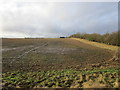 Wet field near Chain Farm House