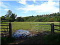 Field entrance off Eastham Rake