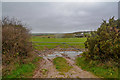 Helston : Grassy Field & Gate