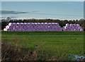 Bales of hay by Bridge Lane. Rawcliffe Bridge