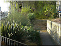 Exotic planting at the subway entrance, Bradford Road, Brighouse