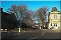 Two Whitebeam trees at the entrance to the Salvation Army car park