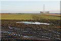 Soggy farmland near Bank Farm