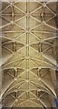 ST9387 : Malmesbury Abbey - Nave - Lierne vault (western end) by Rob Farrow