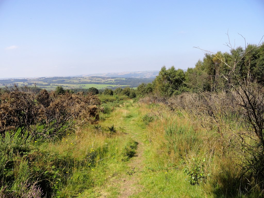 Track leading up Pontop Pike © Robert Graham :: Geograph Britain and ...