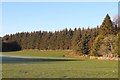 A sheltered field at Craigend