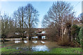 River Mole in flood