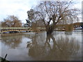 The flooded River Medway at Bow Bridge