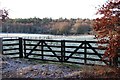 Paddock gate at Durris Lodge