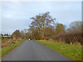 Road near Bowmont Forest