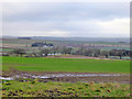 View north-west from Horse Rigg