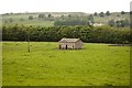 SE0997 : Field Barn, Stainton Middle Wood by P Gaskell