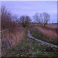 Path through arable land, nr Scott