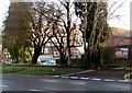 Steaks from ?5 advert on an Almond Drive fence, Malpas, Newport