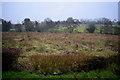 Rushy ground, Mullaghmore