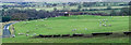 Pill box in field with sheep