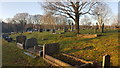 Cemetery in Fleur-de-Lys