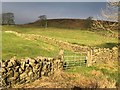 Gate into field north of the A59