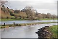 Water Meadows and Glastonbury Tor