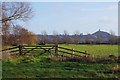 Path to Cradlebridge Farm