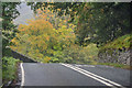 NY3605 : Lakes : A591 by Lewis Clarke