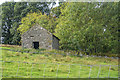 NY2822 : St John's Castlerigg and Wythburn : Grassy Field by Lewis Clarke